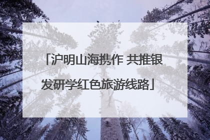 沪明山海携作 共推银发研学红色旅游线路