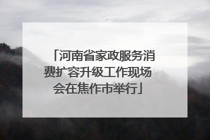 河南省家政服务消费扩容升级工作现场会在焦作市举行