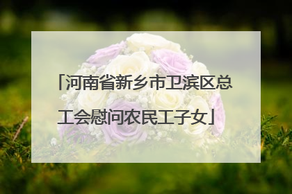 河南省新乡市卫滨区总工会慰问农民工子女