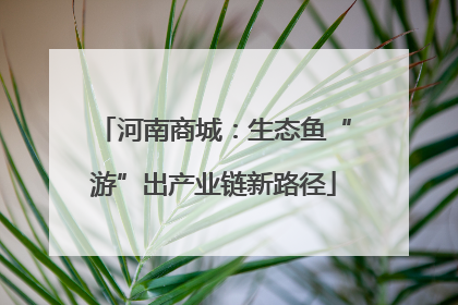 河南商城：生态鱼“游”出产业链新路径