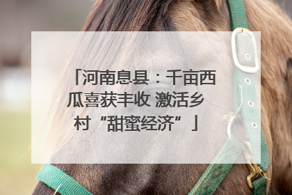 河南息县：千亩西瓜喜获丰收 激活乡村“甜蜜经济”