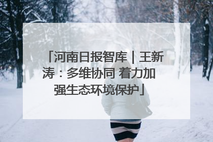 河南日报智库｜王新涛：多维协同 着力加强生态环境保护