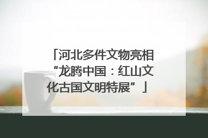 河北多件文物亮相“龙腾中国：红山文化古国文明特展”