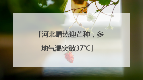 河北晴热迎芒种，多地气温突破37℃