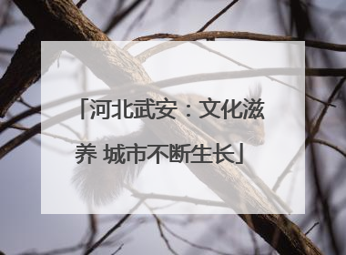河北武安：文化滋养 城市不断生长