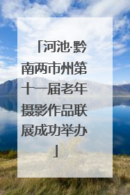 河池·黔南两市州第十一届老年摄影作品联展成功举办