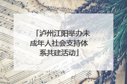 泸州江阳举办未成年人社会支持体系共建活动