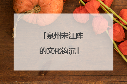 泉州宋江阵的文化钩沉