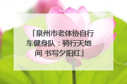 泉州市老体协自行车健身队：骑行天地间 书写夕阳红