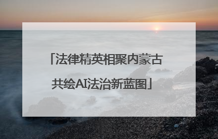 法律精英相聚内蒙古 共绘AI法治新蓝图