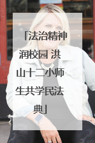 法治精神润校园 洪山十二小师生共学民法典