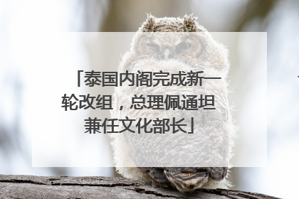 泰国内阁完成新一轮改组，总理佩通坦兼任文化部长