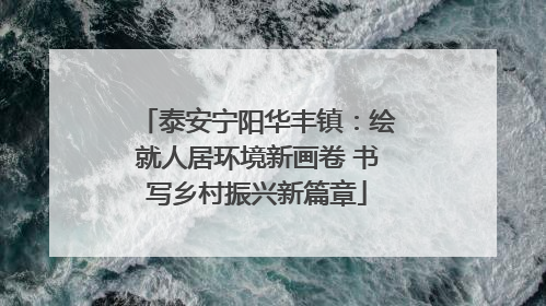 泰安宁阳华丰镇：绘就人居环境新画卷 书写乡村振兴新篇章
