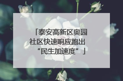 泰安高新区奥园社区快速响应跑出“民生加速度”