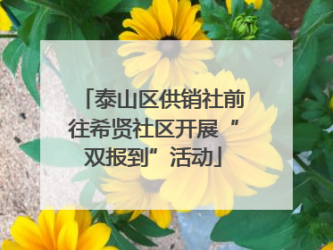 泰山区供销社前往希贤社区开展“双报到”活动