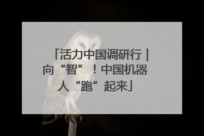 活力中国调研行｜向“智”！中国机器人“跑”起来
