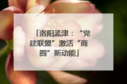 洛阳孟津：“党建联盟”激活“商圈”新动能