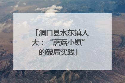 洞口县水东镇人大：“蘑菇小镇”的破局实践
