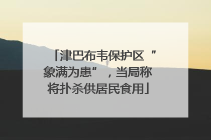 津巴布韦保护区“象满为患”，当局称将扑杀供居民食用