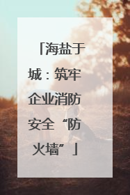海盐于城：筑牢企业消防安全“防火墙”