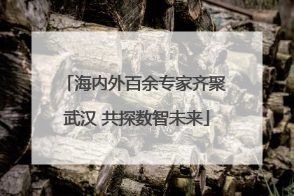 海内外百余专家齐聚武汉 共探数智未来