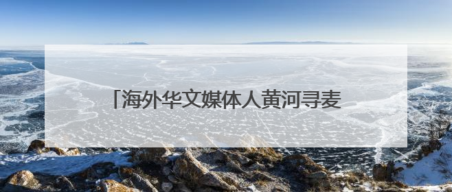 海外华文媒体人黄河寻麦香 共话运城乡村振兴
