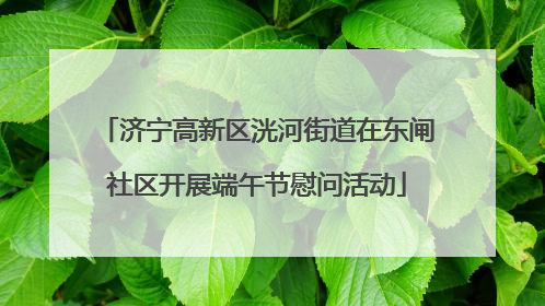 济宁高新区洸河街道在东闸社区开展端午节慰问活动