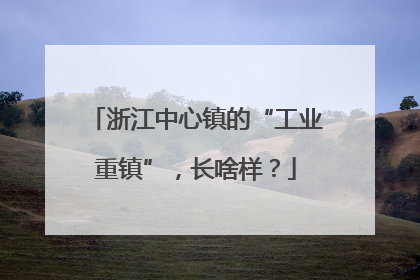 浙江中心镇的“工业重镇”，长啥样？