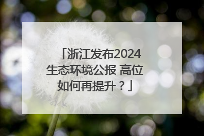浙江发布2024生态环境公报 高位如何再提升？