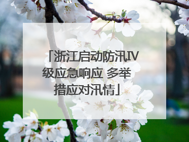 浙江启动防汛Ⅳ级应急响应 多举措应对汛情