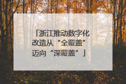 浙江推动数字化改造从“全覆盖”迈向“深覆盖”