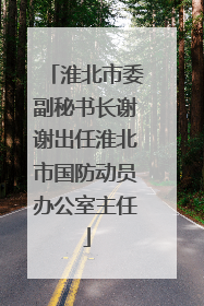 淮北市委副秘书长谢谢出任淮北市国防动员办公室主任