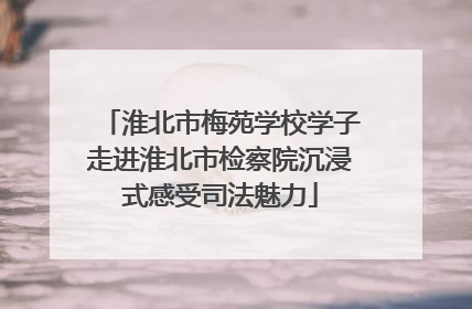 淮北市梅苑学校学子走进淮北市检察院沉浸式感受司法魅力