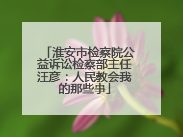 淮安市检察院公益诉讼检察部主任汪彦：人民教会我的那些事