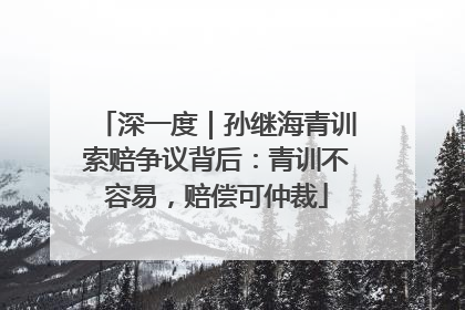 深一度｜孙继海青训索赔争议背后：青训不容易，赔偿可仲裁