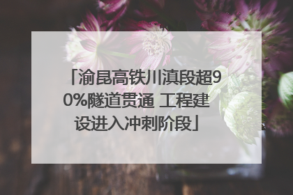 渝昆高铁川滇段超90%隧道贯通 工程建设进入冲刺阶段