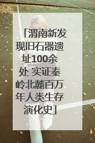 渭南新发现旧石器遗址100余处 实证秦岭北麓百万年人类生存演化史