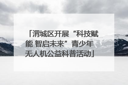 渭城区开展“科技赋能 智启未来”青少年无人机公益科普活动