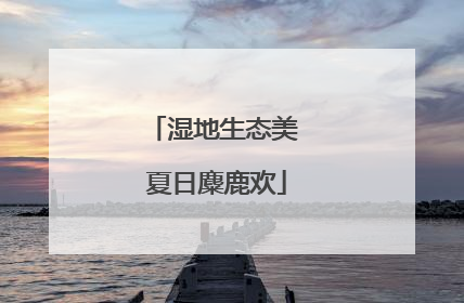 湿地生态美 夏日麋鹿欢