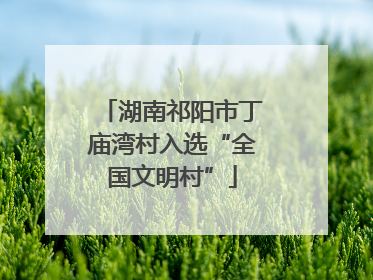 湖南祁阳市丁庙湾村入选“全国文明村”