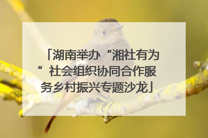 湖南举办“湘社有为”社会组织协同合作服务乡村振兴专题沙龙