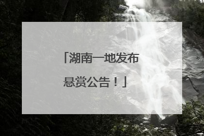 湖南一地发布悬赏公告！