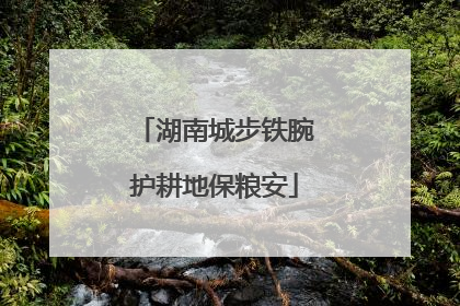 湖南城步铁腕护耕地保粮安