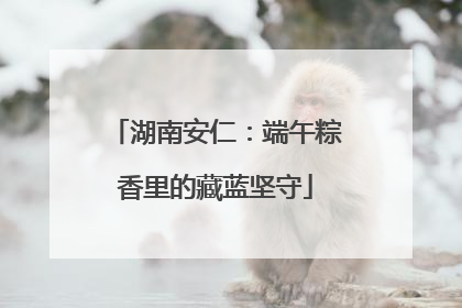 湖南安仁：端午粽香里的藏蓝坚守