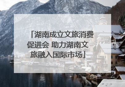 湖南成立文旅消费促进会 助力湖南文旅融入国际市场