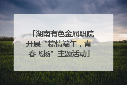 湖南有色金属职院开展“粽情端午，青春飞扬”主题活动