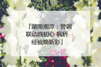 湖南湘潭：警调联动践初心 枫桥经验焕新彩