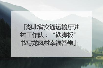 湖北省交通运输厅驻村工作队：“铁脚板”书写龙凤村幸福答卷