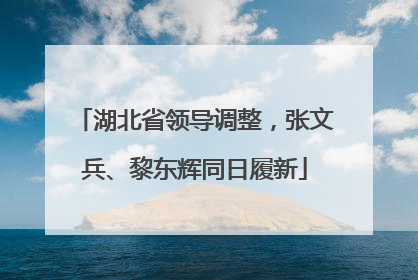 湖北省领导调整，张文兵、黎东辉同日履新
