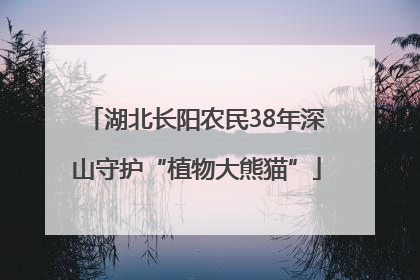 湖北长阳农民38年深山守护“植物大熊猫”
